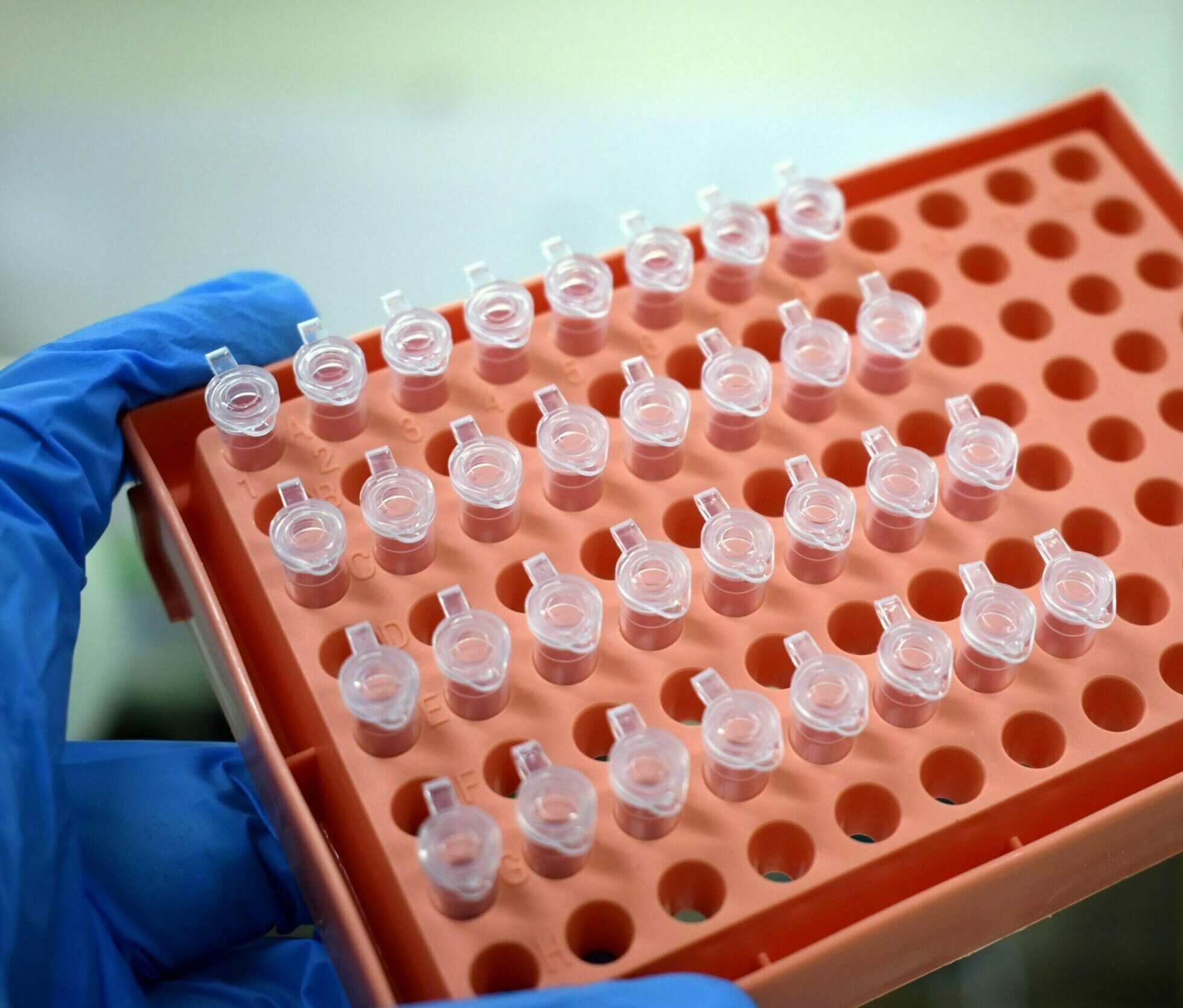 OFFLU statement on the development of a global consensus H5 Influenza genotyping framework (February 2025)
